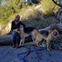 Photo of ABC pet sitting & dog walking