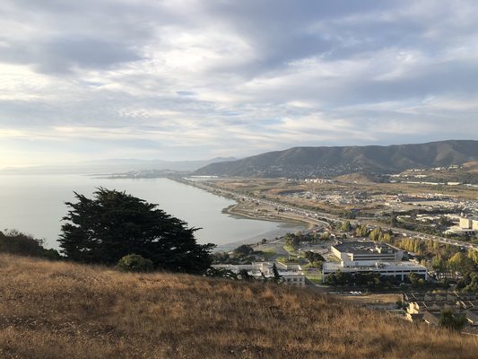 Bayview Park by null