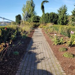 Centennial Park - Rose garden