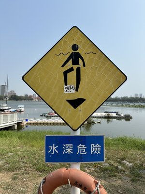 Dragon and Tiger Pagodas by null