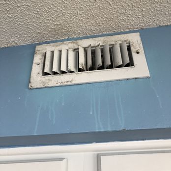 Xanadu II - Dust and mold, water stains on walls - Vacation Rentals Near Me - North Myrtle Beach, South Carolina Xanadu II - Dust and mold, water stains on walls - Vacation Rentals Near Me - North Myrtle Beach, South Carolina