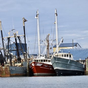 Waterbug Tours - Boats - Boating Near Me - Beaufort, North Carolina