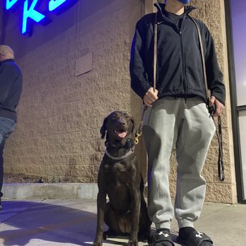 Paws 'n' Rec - 3 weeks into the program - Pet Training Near Me - Las Vegas, Nevada Paws 'n' Rec - 3 weeks into the program - Pet Training Near Me - Las Vegas, Nevada