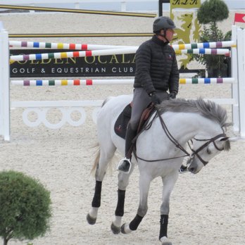 World Equestrian Center - Love this horse...one hoof is on the ground! - Stadiums & Arenas Near Me - Ocala, Florida