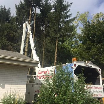 Darren's Tree Service - Tree Trimming Service - Tree Services Near Me Darren's Tree Service - Tree Trimming Service - Tree Services Near Me