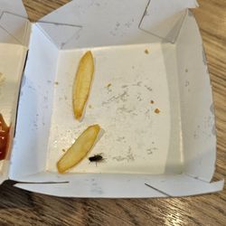 McDonald's - Flies