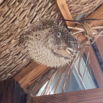 The Lanai - Puffer fish overhead - Tiki Bars Near Me - Mira Loma, California