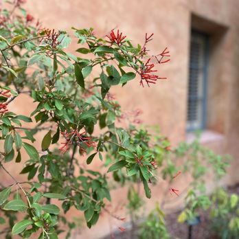 Royal Palms Resort And Spa - Day Spas Near Me - Phoenix, Arizona
