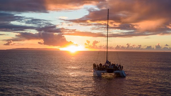 Holo Holo Charters by null