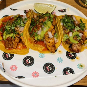 Meximodo - Chicken (Pollo) Taco - Mexican Near Me - Metuchen, New Jersey