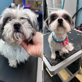 Happy Paws Pet Grooming - Pet Groomers Near Me - Atascadero, California Happy Paws Pet Grooming - Pet Groomers Near Me - Atascadero, California