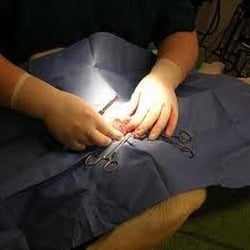 Clinica Veterinaria San Esteban