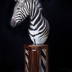 Brush Country Studios - Zebra Pedestal taxidermy mount