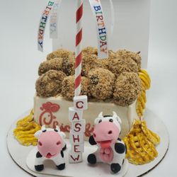 Yale Street Dog House - Custom dog cakes