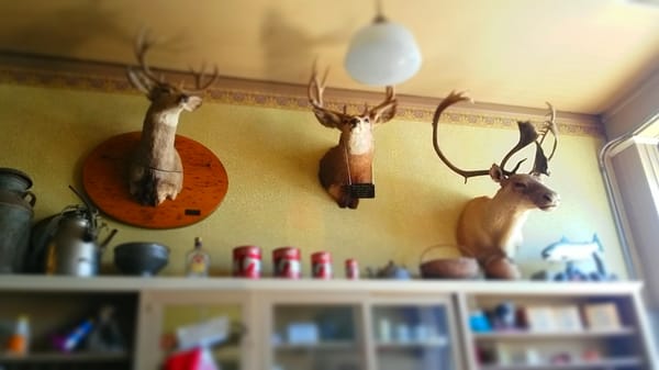 Poppa Joe's by null