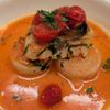 Tari Trattoria gift card