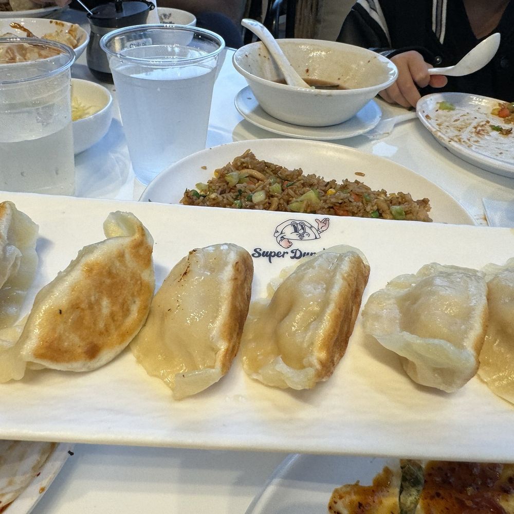 Super Dumpling - Pan Chicken Pan-Fried Dumplingsdumplings - Noodles Near Me - Orange, California Super Dumpling - Pan Chicken Pan-Fried Dumplingsdumplings - Noodles Near Me - Orange, California