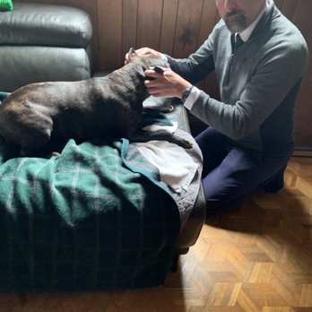 A Gentle Rest - Doctor Robert Sahaghian making Frida comfortable - Pet Services Near Me A Gentle Rest - Doctor Robert Sahaghian making Frida comfortable - Pet Services Near Me