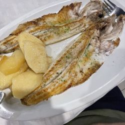 Los Delfines - Fresh Lubina a la plancha