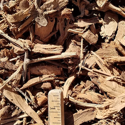 Large Almond Wood Chip