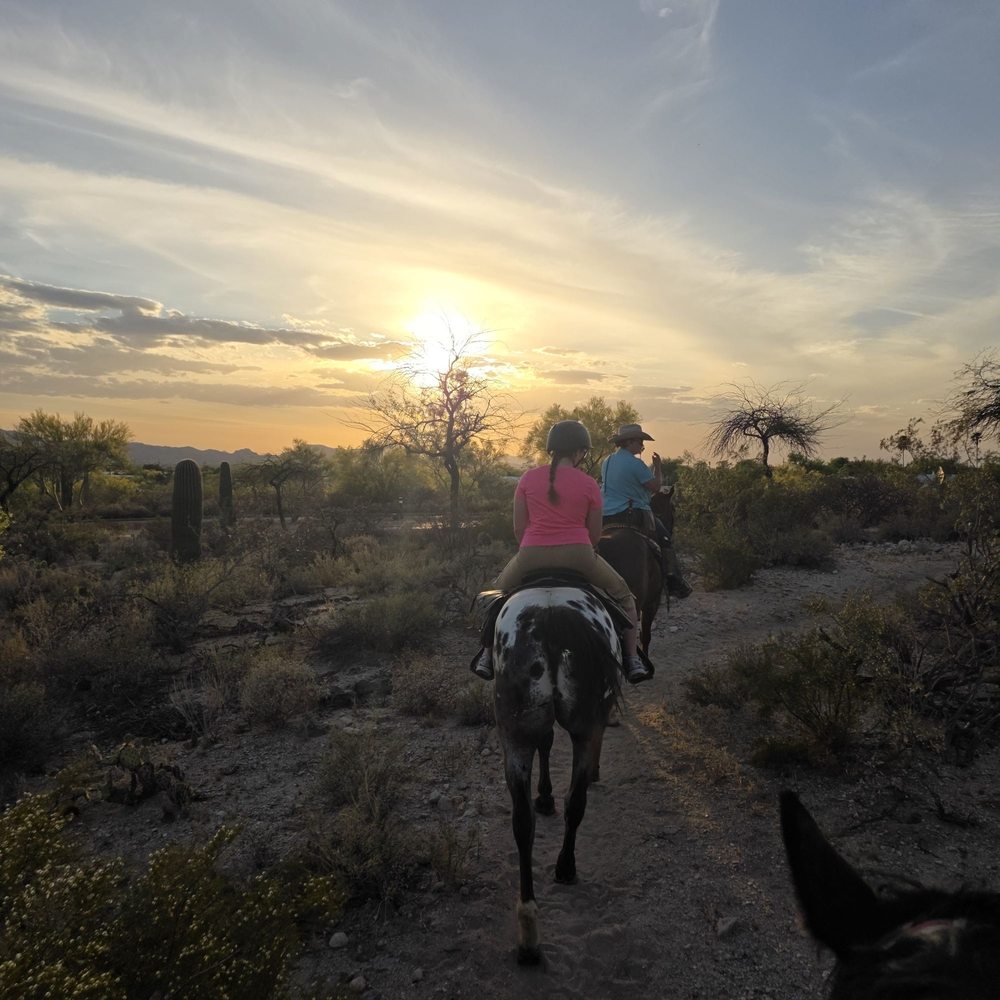 Tattered Saddle - Horseback Riding Near Me - Tucson, Arizona Tattered Saddle - Horseback Riding Near Me - Tucson, Arizona