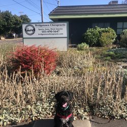 Bridgetown Chiropractic And Wellness