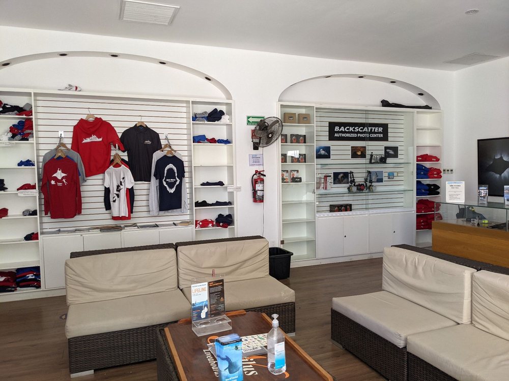 SEE CREATURES Plaza Marina Locales F5 F6 F7 Tesoro Los Cabos Y Poste