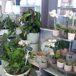 Vegetal Factory