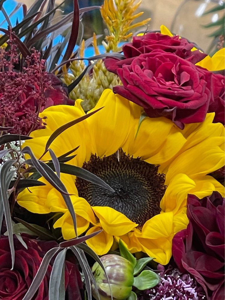 BOISE AT ITS BEST Updated August 2024 120 Photos & 67 Reviews 851