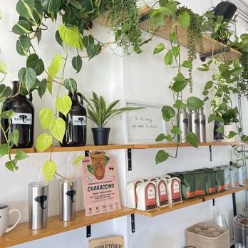 Black Elephant Coffee - Burbank - Coffee & Tea Near Me - Burbank, California