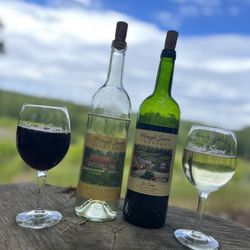 Maugle Sierra Vineyards - Cayuga White and St. Croix Red! Two delicious wines for a beautiful summer day! #Connecticut #winetrail #wine