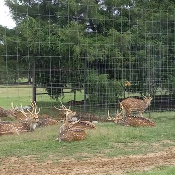 Tennessee Safari Park - Parks Near Me - Alamo, Tennessee