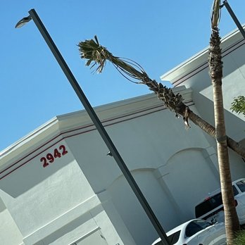 In-N-Out Burger - ows palm trees in front of a restaurant - Juice Bars & Smoothies Near Me - Ceres, California