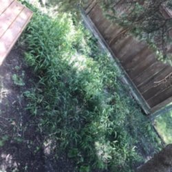 Eagle Landscaping