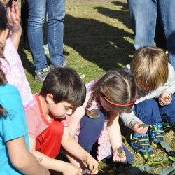 Kehillat Israel Early Childhood Center - Children learn so much from gardening!