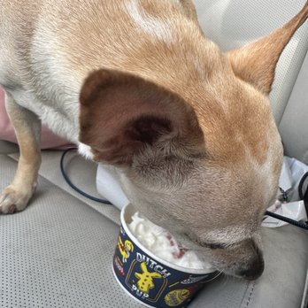 Dutch Bros Coffee - Coffee & Tea Near Me - Fort Collins, Colorado Dutch Bros Coffee - Coffee & Tea Near Me - Fort Collins, Colorado
