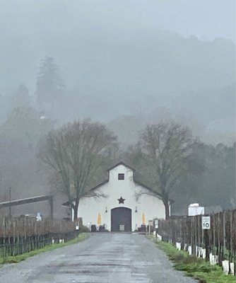 Amista Vineyards by null