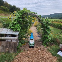 Gardenworks Farm