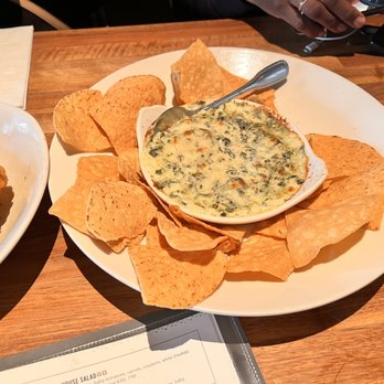 Yard House - Spinach sip - New American Near Me - Springfield, Virginia Yard House - Spinach sip - New American Near Me - Springfield, Virginia