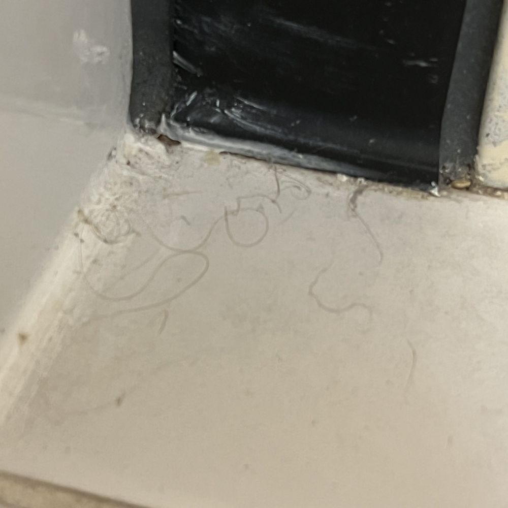 Fairfield by Marriott Inn & Suites Sevierville Kodak - Hair on the floor next to the tub. - Hotels Near Me - Kodak, Tennessee