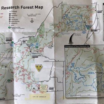 Peavy Arboretum - Be sure to pick up a map in the parking area - Hiking Near Me - Corvallis, Oregon Peavy Arboretum - Be sure to pick up a map in the parking area - Hiking Near Me - Corvallis, Oregon