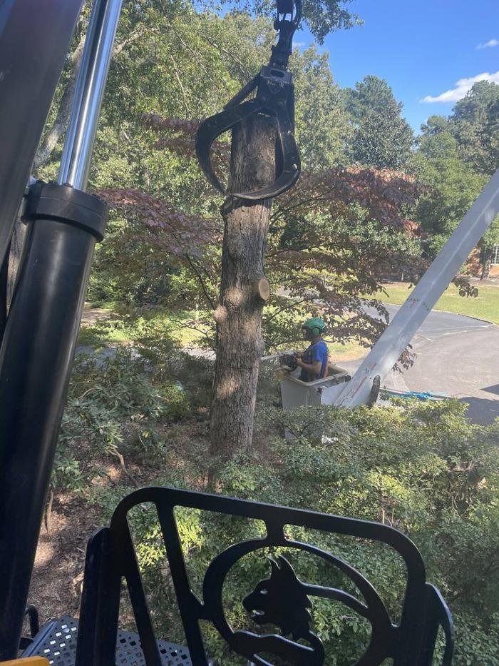 McCormick Tree Care - tree service in Richmond, VA