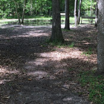 Bees Landing Dog Park - Dog Parks Near Me - Charleston, South Carolina Bees Landing Dog Park - Dog Parks Near Me - Charleston, South Carolina