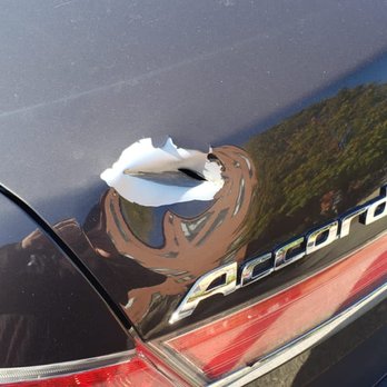 World Auto Body - Body Shops Near Me - Brookline, Massachusetts