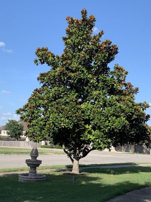 J and R Lawn Services