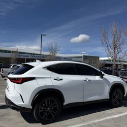 Nevada Department of Motor Vehicles - Time to register her..