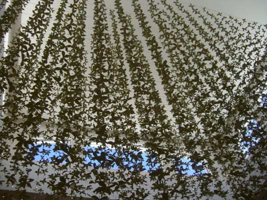 Neiman Marcus by null