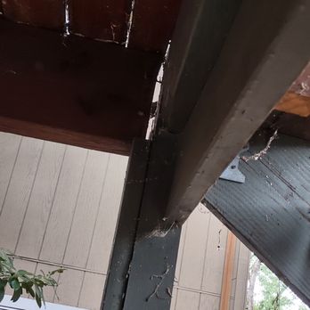 Twin Termite & Pest Control - Pest Control Near Me - Auburn, California Twin Termite & Pest Control - Pest Control Near Me - Auburn, California