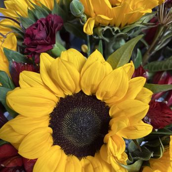 Garland's Florist - The replacement bouquet - Florists Near Me - Rutland, Vermont Garland's Florist - The replacement bouquet - Florists Near Me - Rutland, Vermont