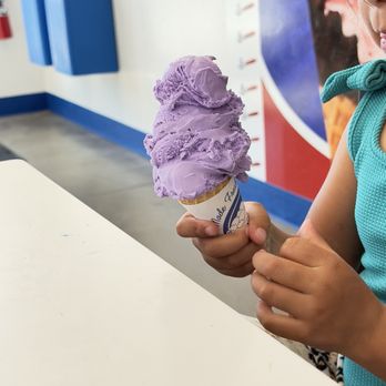Handel’s Homemade Ice Cream - Taro small sugar cone - Ice Cream & Frozen Yogurt Near Me - Reno, Nevada